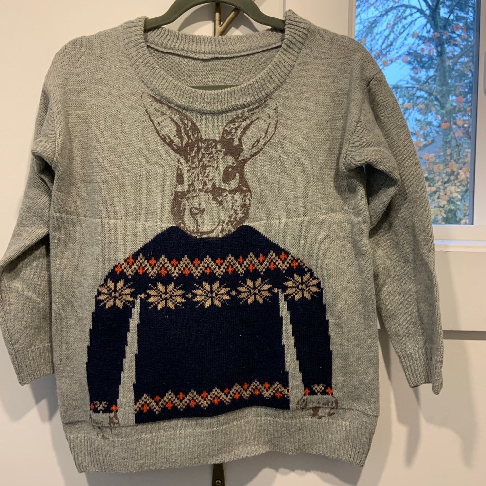 Bunny in a sweater sweater